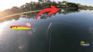 EXPLOS&Atilde;O NA JOKER 98!! O TUCUNAR&Eacute; AZUL N&Atilde;O RESISTIU!