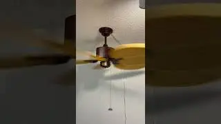 Fanimation Louvre Ceiling Fan #home #tropicalvibes #ceilingfan #diy #fanimation