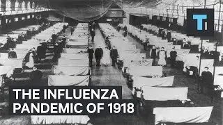 Influenza was the 2nd worst pandemic ever