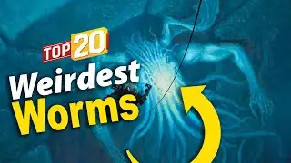 You Won't Believe These Worm Monsters! 😱