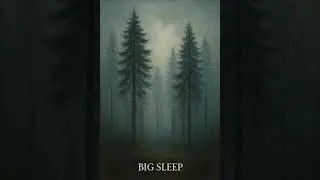Big Sleep (Country Version) - Simple Minds (Cover)
