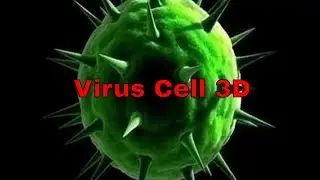 3D Model Spherical Virus Cell Review