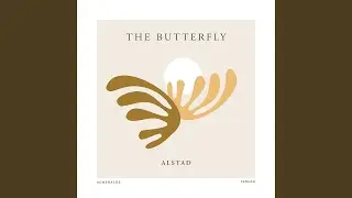 The Butterfly