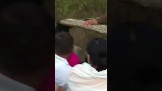 Tiger Attack | Mock Charge during Safari