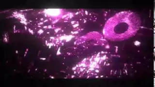 ROMOBOYZ INTRO 🔥🔥🔥🔥🔥🔥 I MAKE INTROS HMU