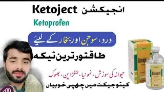 Ketoject Injection - Veterinary uses | Ketoprofen for Fever pneumonia Mastitis paralysis In cow goat