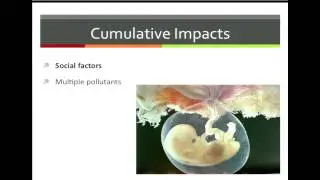 Air Pollution & Preterm Birth. Amy Padula | Cumulative Impacts & Kids 9