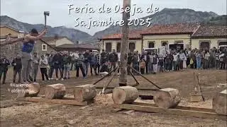 Feria de Oseja de Sajambre 2025 - Exhibición de corte de madera