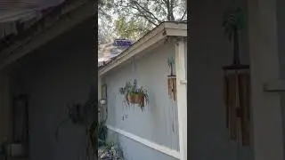 Roof replacement #roofingcontractornearme #fernandinabeach #ameliaisland  #yuleeflorida