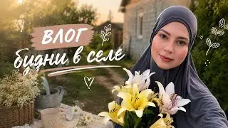 Влог: Будни в селе 🪿🏠