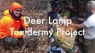 Deer Leg Lamp WR17   Taxidermy