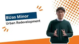 Minor: Urban Redevelopment | Breda University of Applied Sciences