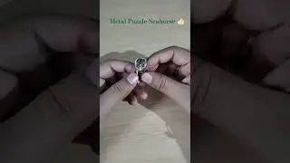 Metal Puzzle Seahorse #brainteaser #fun #puzzle #solution