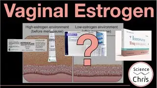 Vaginal Estrogen: Benefits and How to Prescribe