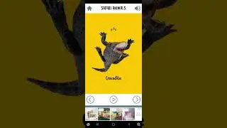 Cards 5: safari animals!