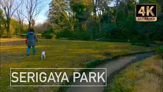 🇯🇵 NICE WALK in SERIGAYA Park - Machida - Tokyo - Part 2 ⎡ 4K ⎦