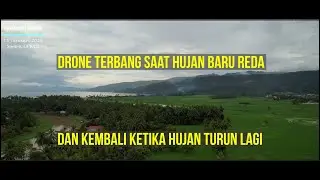 GIANT GREEN CARPETS STRETCH ALONG THE SHORES OF LAKE SINGKARAK #lakesingkarak #westsumatra