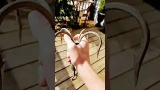 Huge Gaff Hook #fyp #trending #clips #fishing #rescue