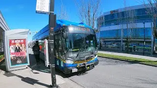 321 white rock ctr