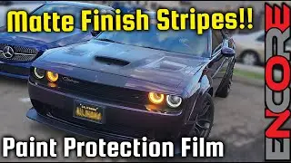 PPF and Matte Black Stripes - Dodge Challenger Hellcat Widebody - Paint Protection Film