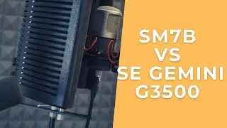 Shure Sm7B vs. SE Electronics Gemini Kondensatormikrofon