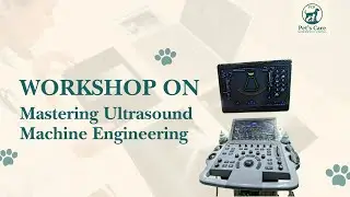 Veterinary Ultrasound Workshop 🩺 | Mastering Ultrasound Machine Engineering @ Pets Care Hospital