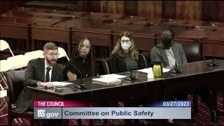 How Many Stops Act: LDF Testimony