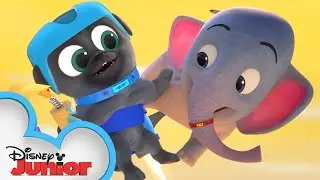 Bingo and Rolly Go to Africa 🌍  | Puppy Dog Pals | Disney Junior