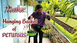How to Make Petunias Tower - type Hanging Basket at Home.