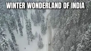 Skiing In Gulmarg | In Drone Footage, Winter Wonderland Of India