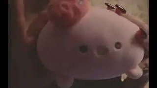 Asmr sounds easy to sleep with a beautiful girl