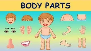 Best body parts learning video. Best video for kids. #kidslearningvideos #learnbodyparts #kidstv