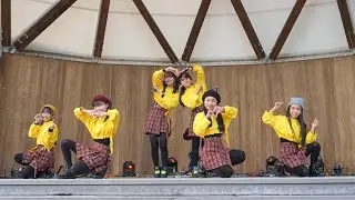 【4K60P】IMZip(アイムジップ)  Authentic(オーセンティック) in 木場潟公園 植樹祭メモリアルステージ 2回目 2020/11/29