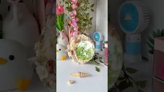 DIY Sea shell mirror #artshorts #diy #shortviral #art #art #handmade