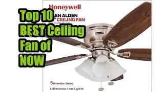 Top 10 BEST Ceiling Fan of NOW