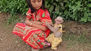 How Cute & Sweet! Monkey Jack Request Sister Take Care Full Day While Outdoor Relaxed