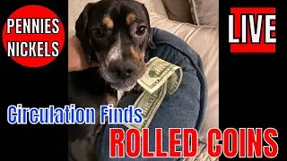 Rolled Coin Excitment. Rare dates and copper coins