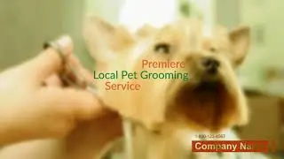 Mobile Dog & Cat Grooming Services Near Me |  Order Custom video from Local Custom Videos