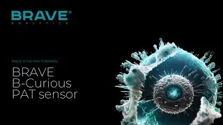 Nanoparticle characterization during production - PAT sensor - BRAVE B-Curious