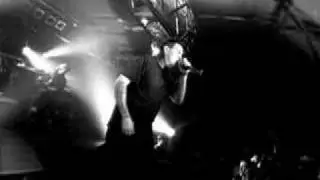 Papa Roach - Decompression Period live (@paparoach)