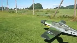 Dave Platt Ta 152 C (Modified)  and Sist Fw 190 D9 over Skoger