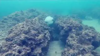 Dor beach  🏖 underwater Israel 06.07.2019