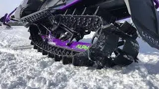 Arctic Cat Alpha One track FLEX