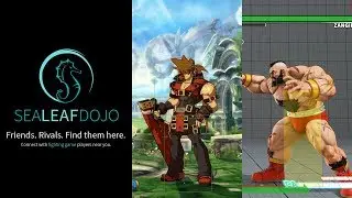 Hit, Hurt and Collision Box  [Fighting Game Mechanisms]