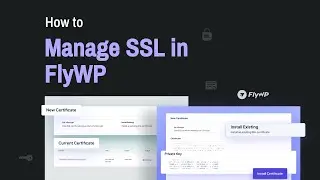 Easy SSL Management in FlyWP | Free & Custom SSL Certificates | Quick & Simple Guide