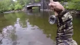 Fly Fishing Davidson River, NC Brown Trout