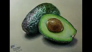 Colored pencil drawing: Avocado