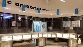 Des brumisateurs Brumifrais hautement prot&eacute;g&eacute;s contre la l&eacute;gionellose pour une utilisation s&ucirc;re