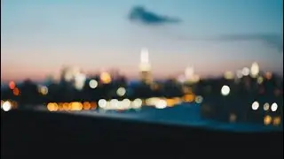 【Playlist】“Just far enough from the noise”（喧騒から少し離れた場所で）