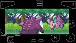 rinha de pokemon